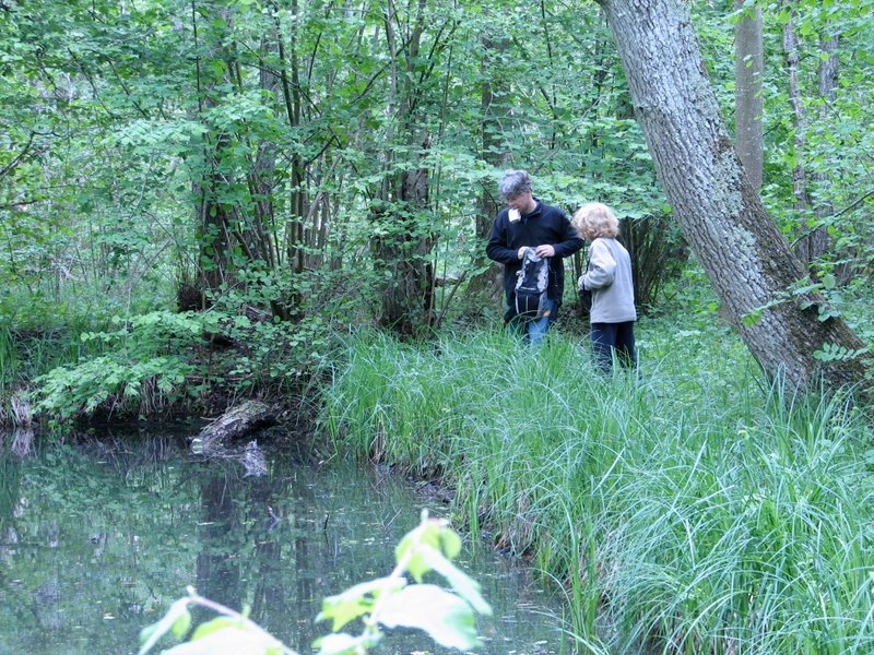 2009 Marais de la Voise 21